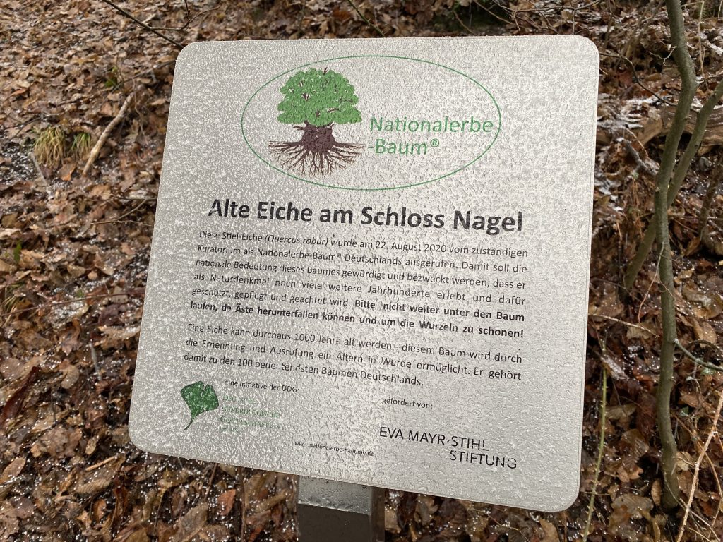 Beschreibung alte Eiche Schloss Nagel