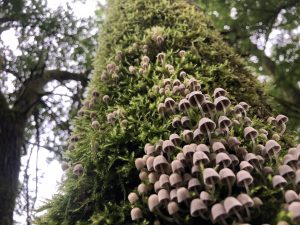 GedankenWelt Aufgabe