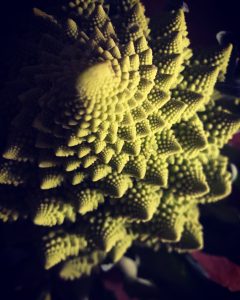 Gedankenwelt Entwicklung Romanesco