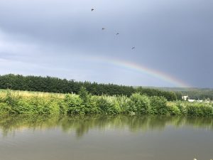 GedankenWelt Gebraucht