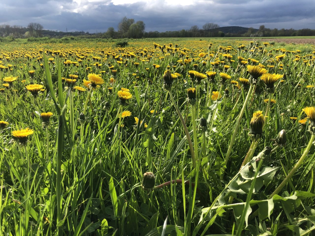 GedankenWelt Höhen&Tiefen