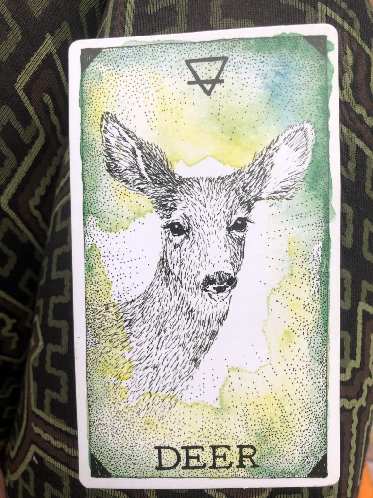 Kollektive Botschaft Deer